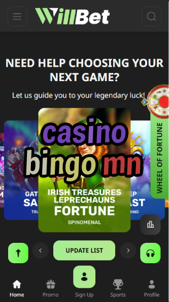 Casino Bingo MN - Minnesota's Best Bingo Halls-casinoallright.casinoorder.vip